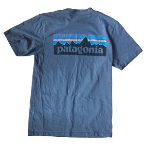 Patagonia Graphic Tee Shirt Mens Small Blue  Mountains Logo Small